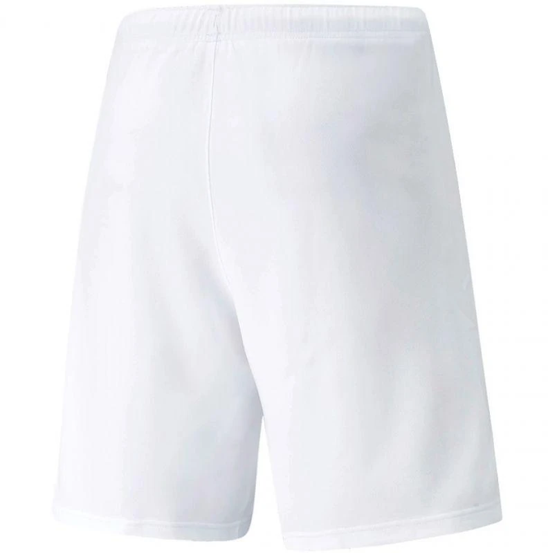 Puma teamRISE Šortai M 704942 03