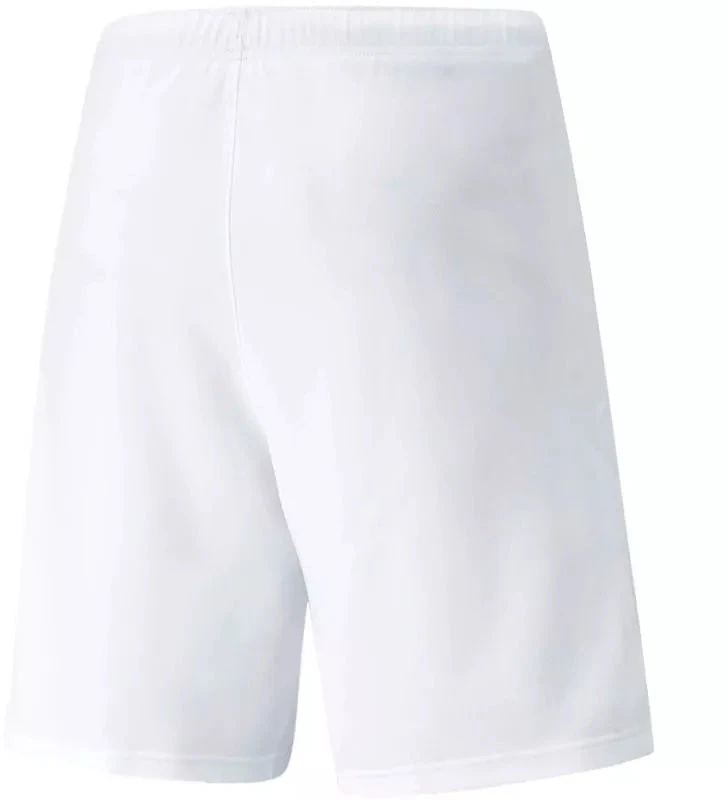 Puma teamRISE Šortai M 704942 03