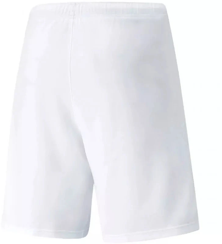 Puma teamRISE Šortai M 704942 03
