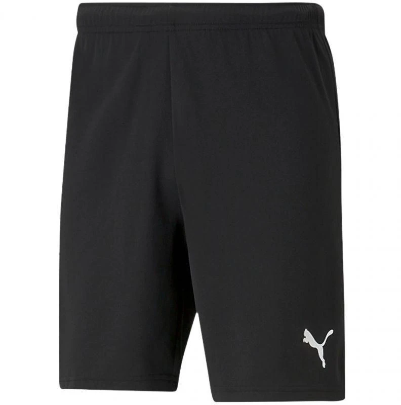 Puma teamRISE Šortai M 704942 04