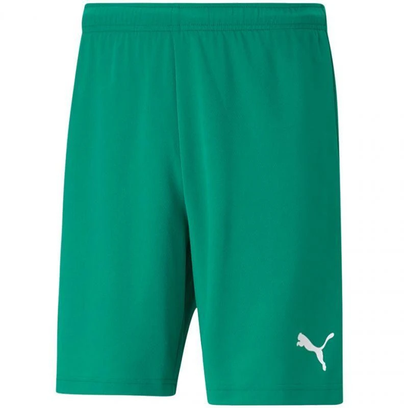 Puma teamRISE Šortai M 704942 05