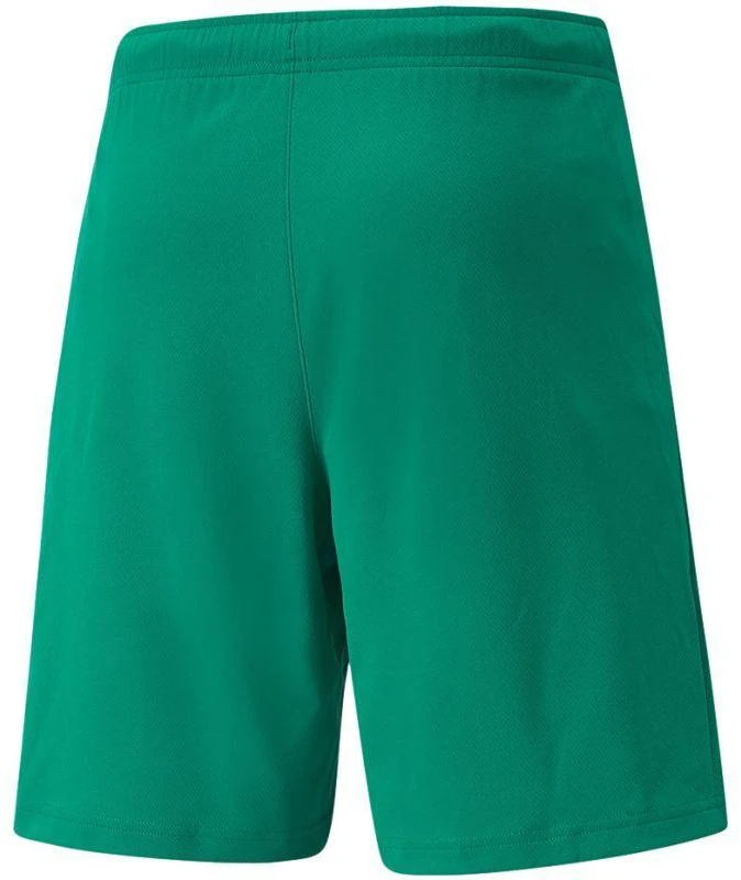 Puma teamRISE Šortai M 704942 05