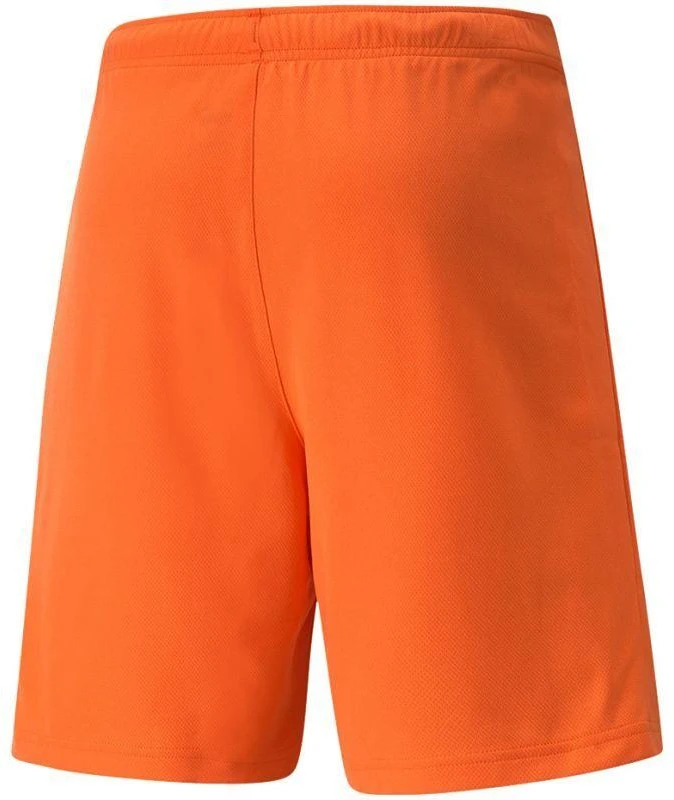 Puma teamRise Šortai Prist M 704942 08