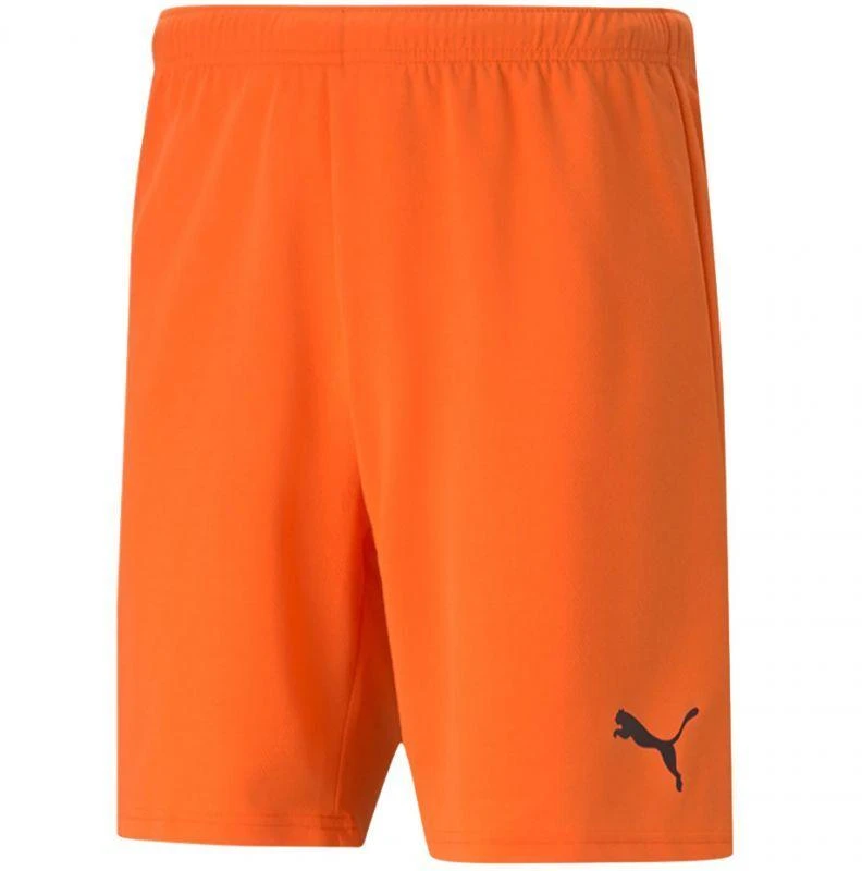 Puma teamRise Šortai Prist M 704942 08