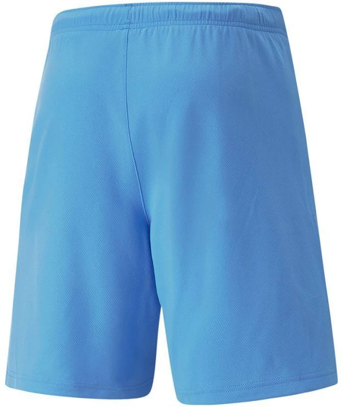 Puma teamRise Šortai Team M 704942 18 šortai