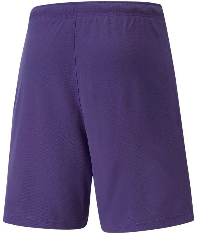 Puma teamRise Vyriški Šortai 704942 10