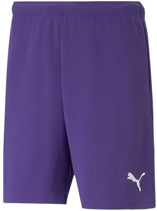 Puma teamRise Vyriški Šortai 704942 10