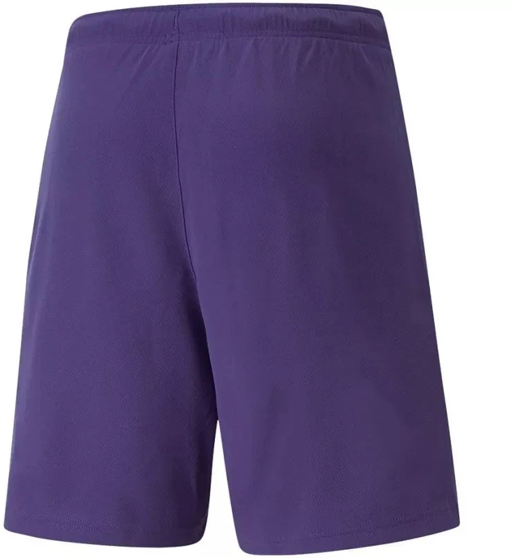 Puma teamRise Vyriški Šortai 704942 10