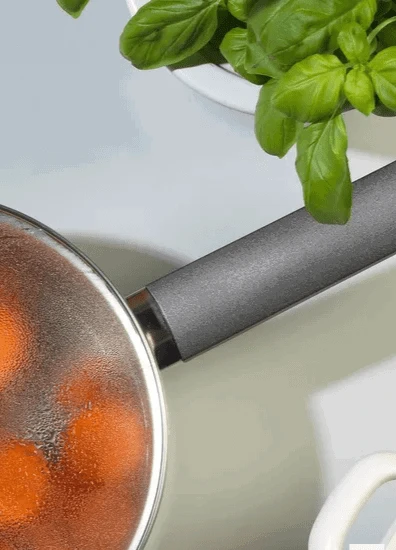 Puodas Russell Hobbs Excellence, 20 cm, sidabro spalvos