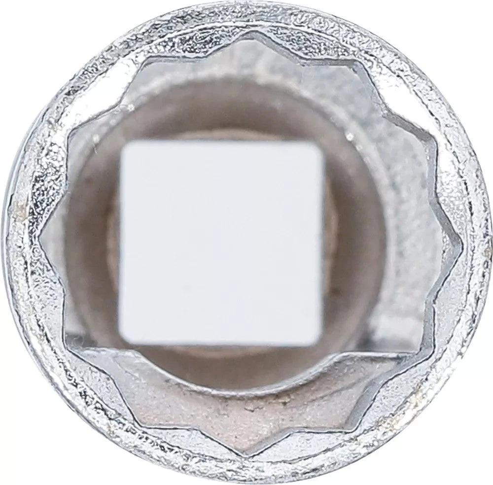 PURKŠTUKO RAKTAS | SKIRTAS BGS 8155 (8155-12)