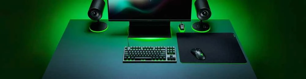 Pelės kilimėlis žaidimams Razer Gigantus V2 L, 450 x 3 x 400 mm, Juodas
