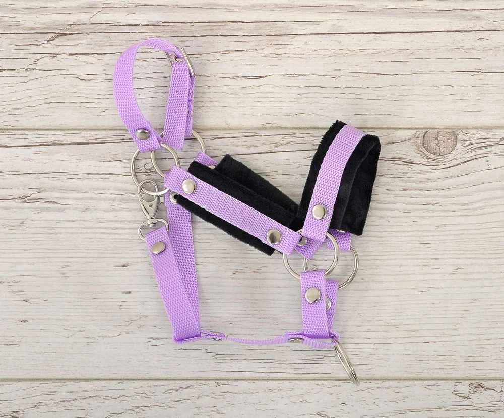 Reguliuojamas kantaras hobi arkliukui – violetinis su juoda pūkine apdaila