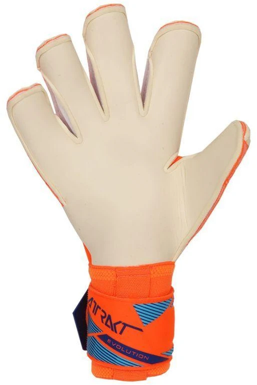 Reusch Attrakt Gold X Evolution World Cup vartininko pirštinės 56 70 064 2290