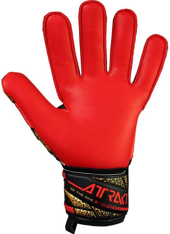 Reusch Attrakt Sidabrinės Pirštinės 55 70 215 7075