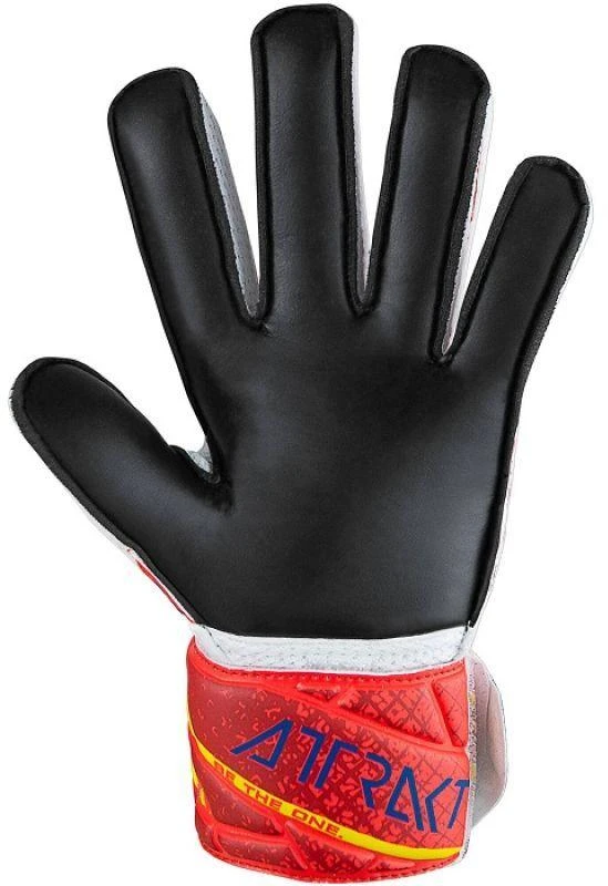 Reusch Attrakt Solid 54/70/016/8903 pirštinės