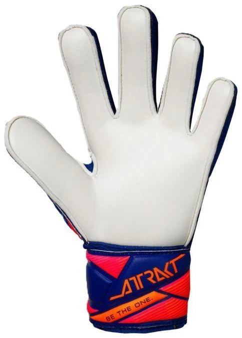 Reusch Attrakt Solid Vaikų Vartininko Pirštinės Mėlynos 5672515 4126