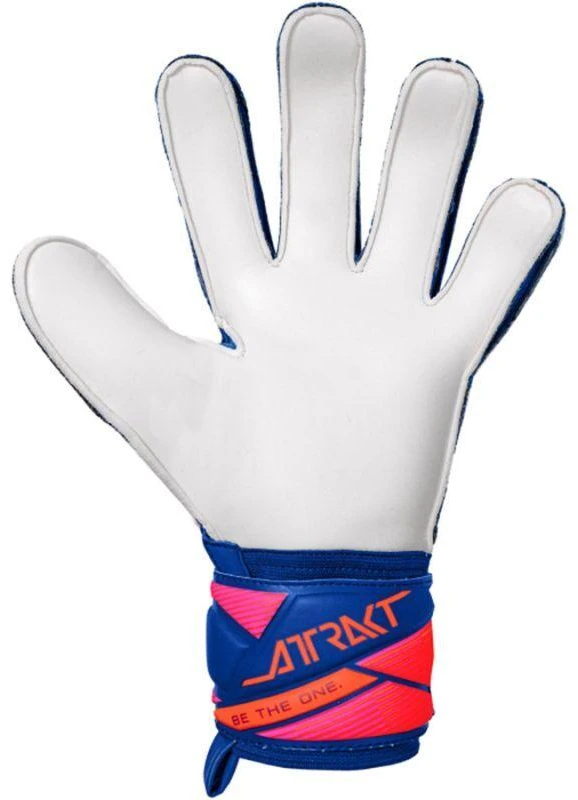 Reusch Attrakt Solid Vartininko pirštinės Mėlynos 5670515 4126