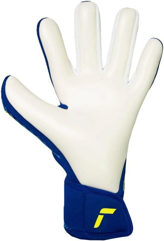 Reusch Fastgrip Advance Vartininko Pirštinės Mėlynos 5670200 4994