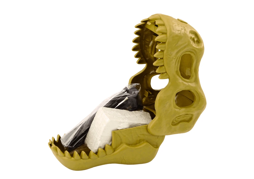 Lean Toys Archeologinis Dinozaurų Fosilijų Rinkinio Rinkinys