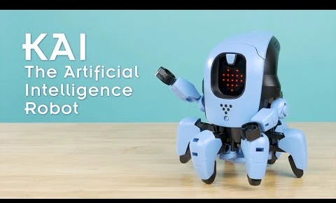 ROBOTAS KAI – dirbtinio intelekto robotas