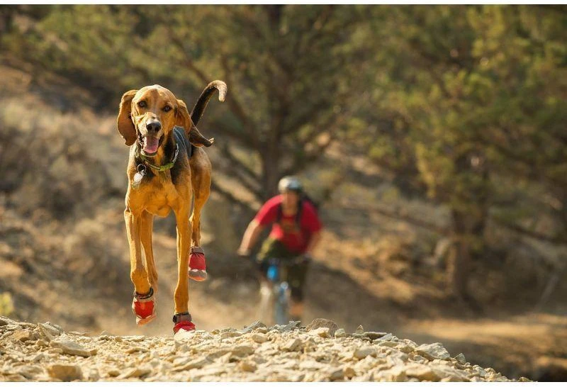 Ruffwear Grip Trex