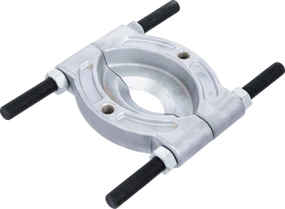 RUTULINIO GUOLIO SEPARATORIUS | 29–168 MM (8767)