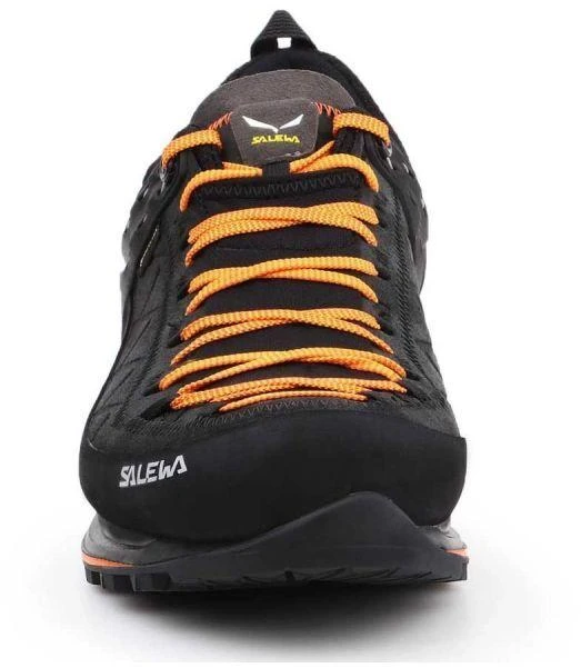 Salewa Vyriški batai MTN Trainer 2 GTX M 61356-0933