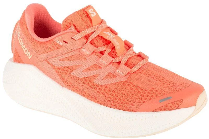 Salomon Aero Glide 3 W L47810700 Bėgimo Bateliai