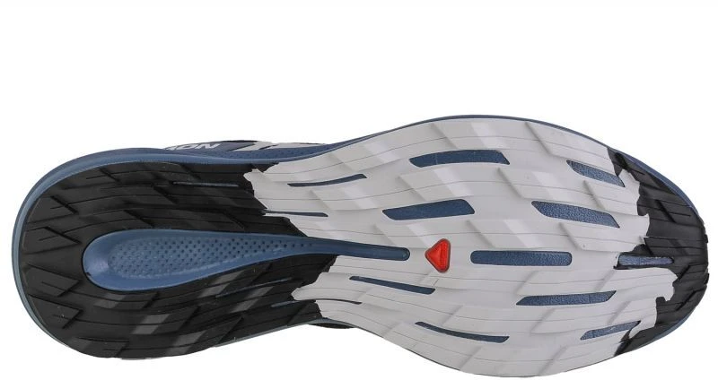 Salomon Pulsar Trail M 472100 batai