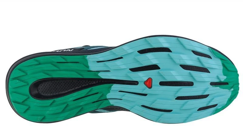 Salomon Pulsar Trail M 472102 batai