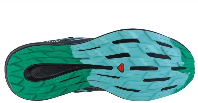 Salomon Pulsar Trail M 472102 batai