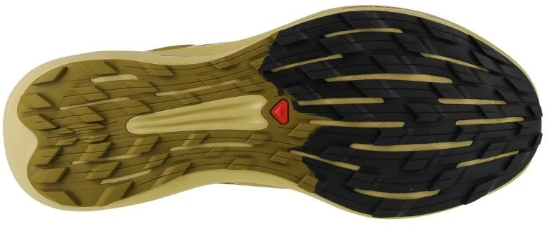 Salomon Pulsar Trail-Pro M 415936 avalynė