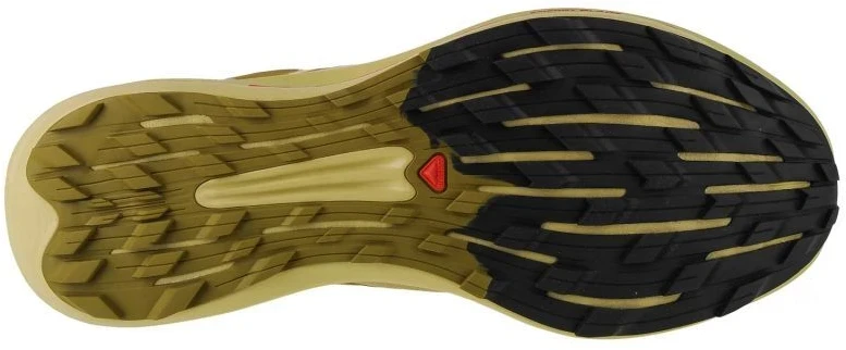 Salomon Pulsar Trail-Pro M 415936 avalynė