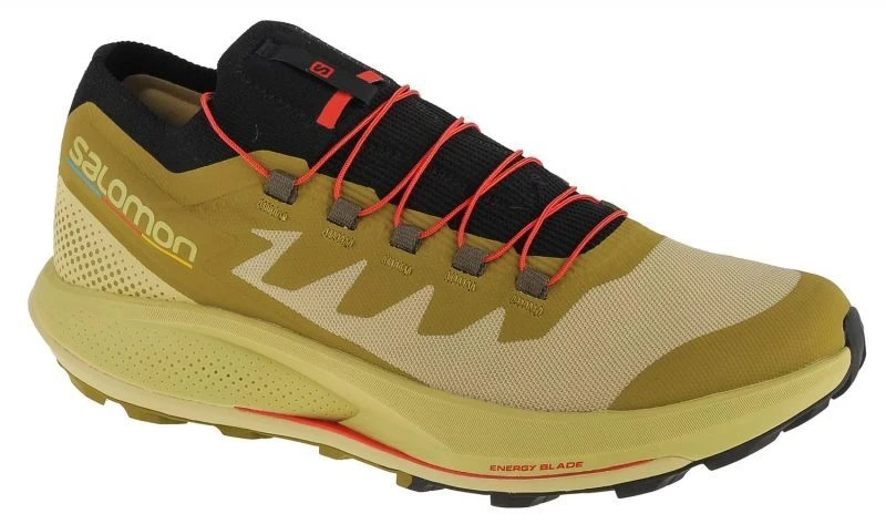 Salomon Pulsar Trail-Pro M 415936 avalynė
