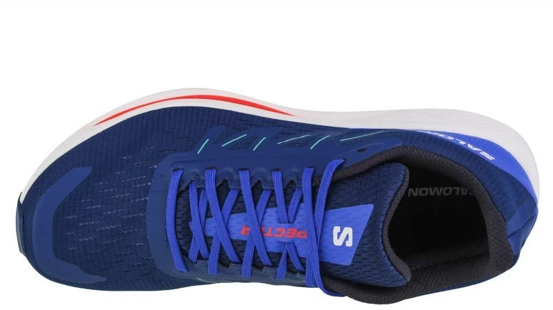 Salomon Spectur M 415899 bėgimo batai