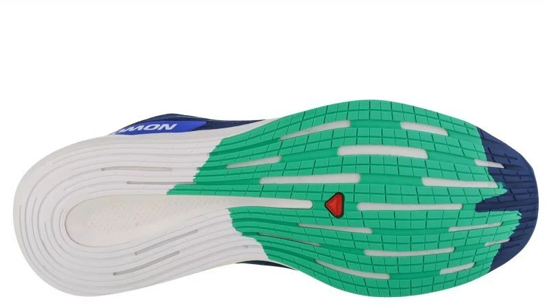 Salomon Spectur M 415899 bėgimo batai