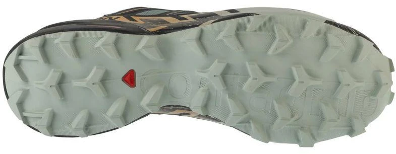 Salomon Speedcross 6 GTX L47880000 Pilka 41 1/3