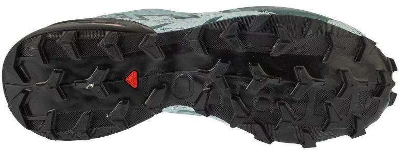 Salomon Speedcross 6 GTX W Mėlyna L47880100 38