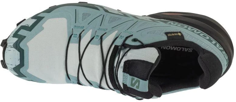 Salomon Speedcross 6 GTX W Mėlyna L47880100 38