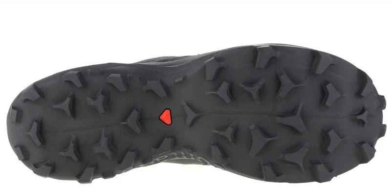 Salomon Wildcross 2 GTX M 414554 Bėgimo Bateliai