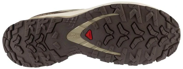 Salomon XA Pro 3D v9 Lifelong L49153800 smėlio spalvos 40 2/3