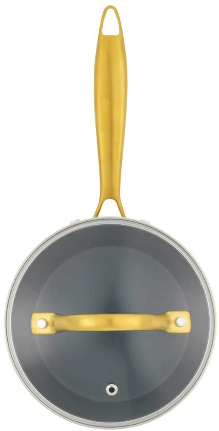 Salter Aerotech Professional 16 cm puodas su dangčiu