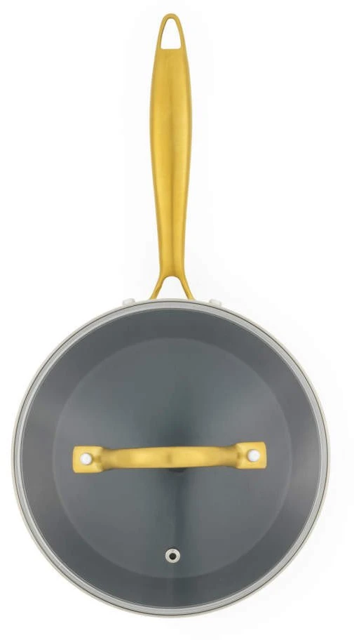 Salter Aerotech Professional BW14604 20 cm puodas su dangčiu