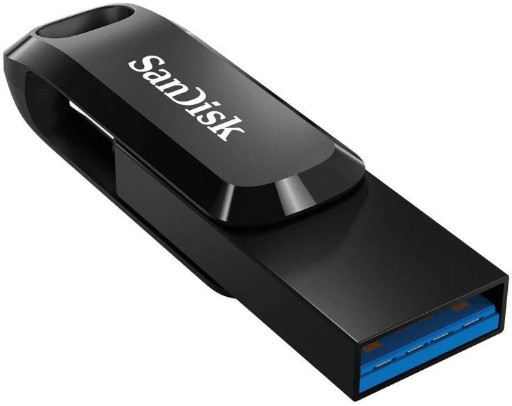 Ausinės SanDisk Ultra Dual GO 256GB USB C