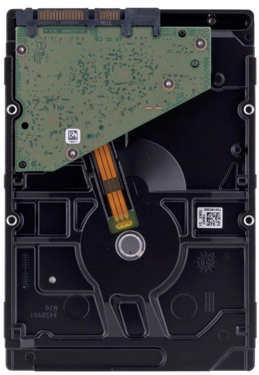 Ausinės „Seagate SkyHawk“ 6TB 3,5 col. SATA ST6000VX009 HDD standusis diskas
