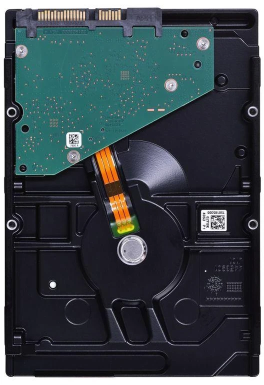 Ausinės Seagate SkyHawk 8TB 3.5" SATA ST8000VX010 HDD kietasis diskas