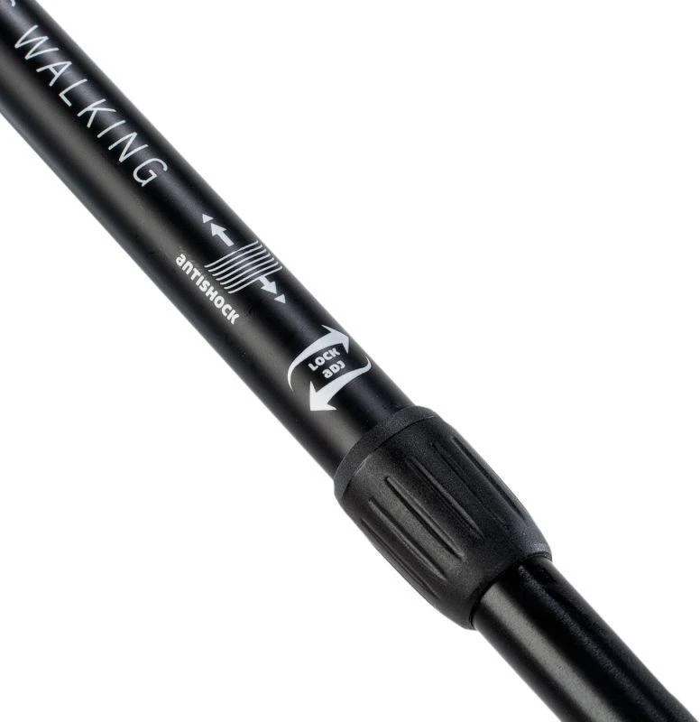 Šiaurietiškojo ėjimo lazdos Martes Essentials Centaurus 92800350310
