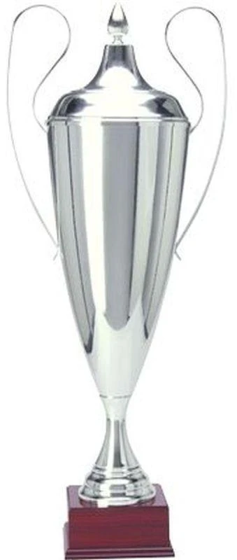 Sidabrinė metalinė taurė TD 1042-N/C