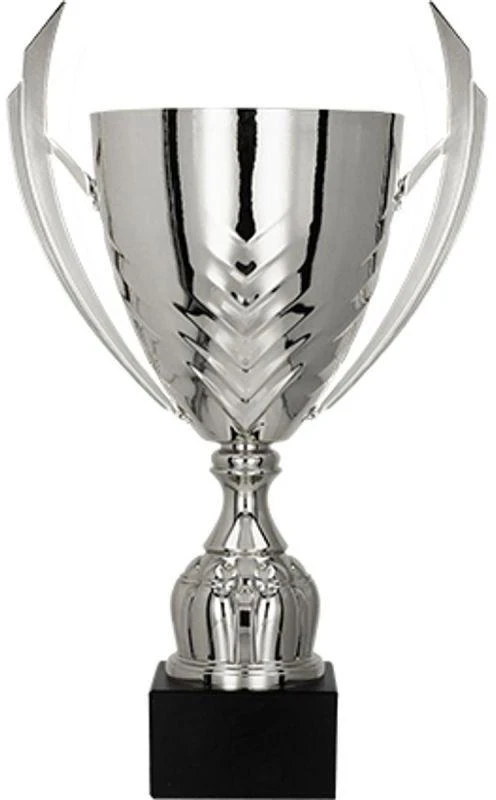 Sidabrinis metalinis puodelis