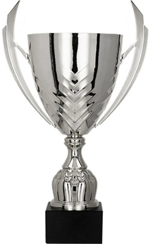 Sidabrinis metalinis puodelis